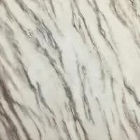White Tiger pool design